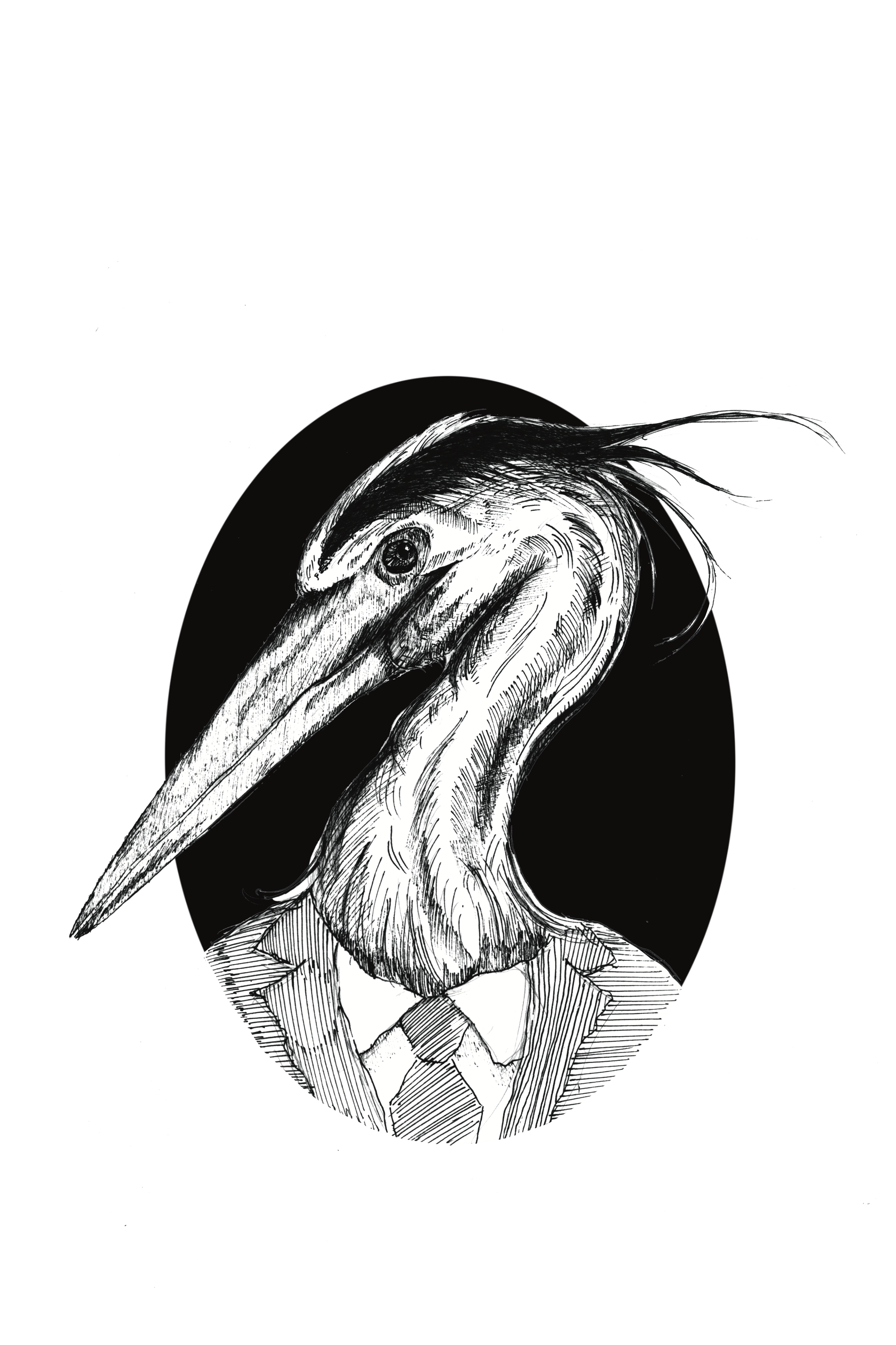 heron resize.png