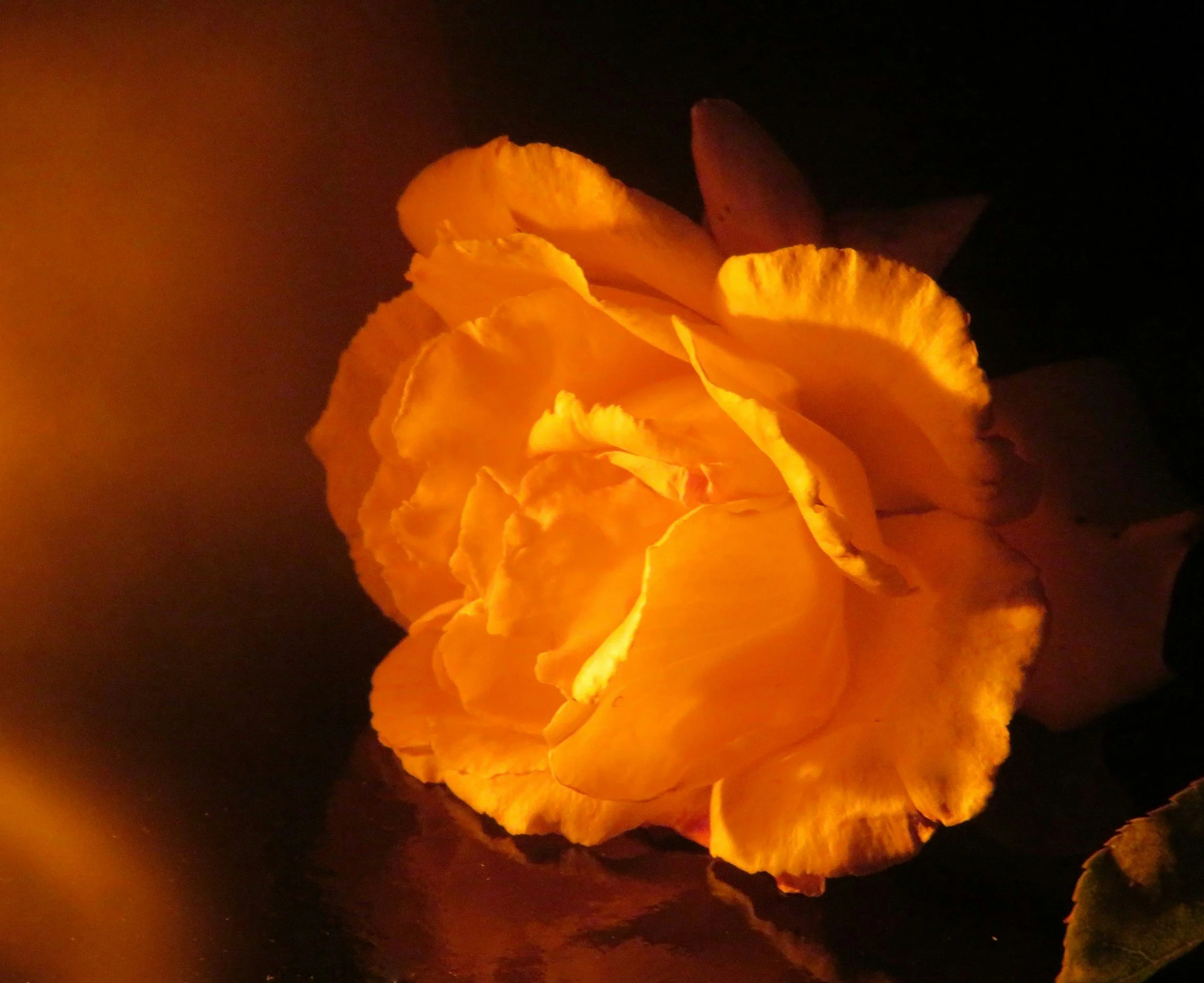 Pleasure Is a Right, Not a Reward