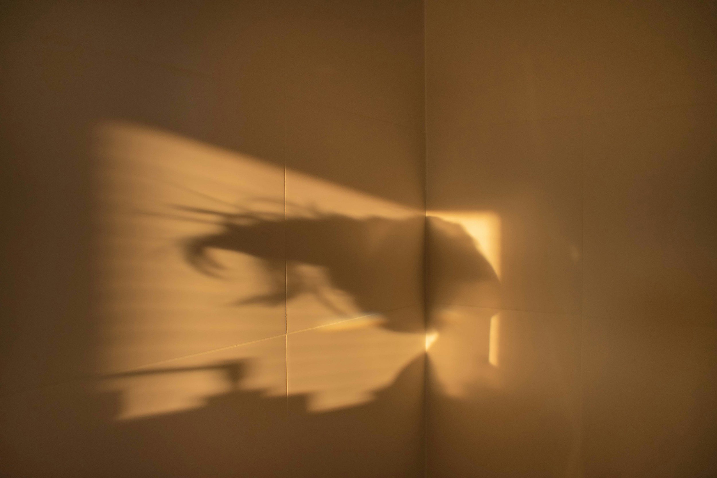 What Happens When You Don’t Know What You Like: Why shame, self-disconnection, and pleasure don’t stay individual for long.