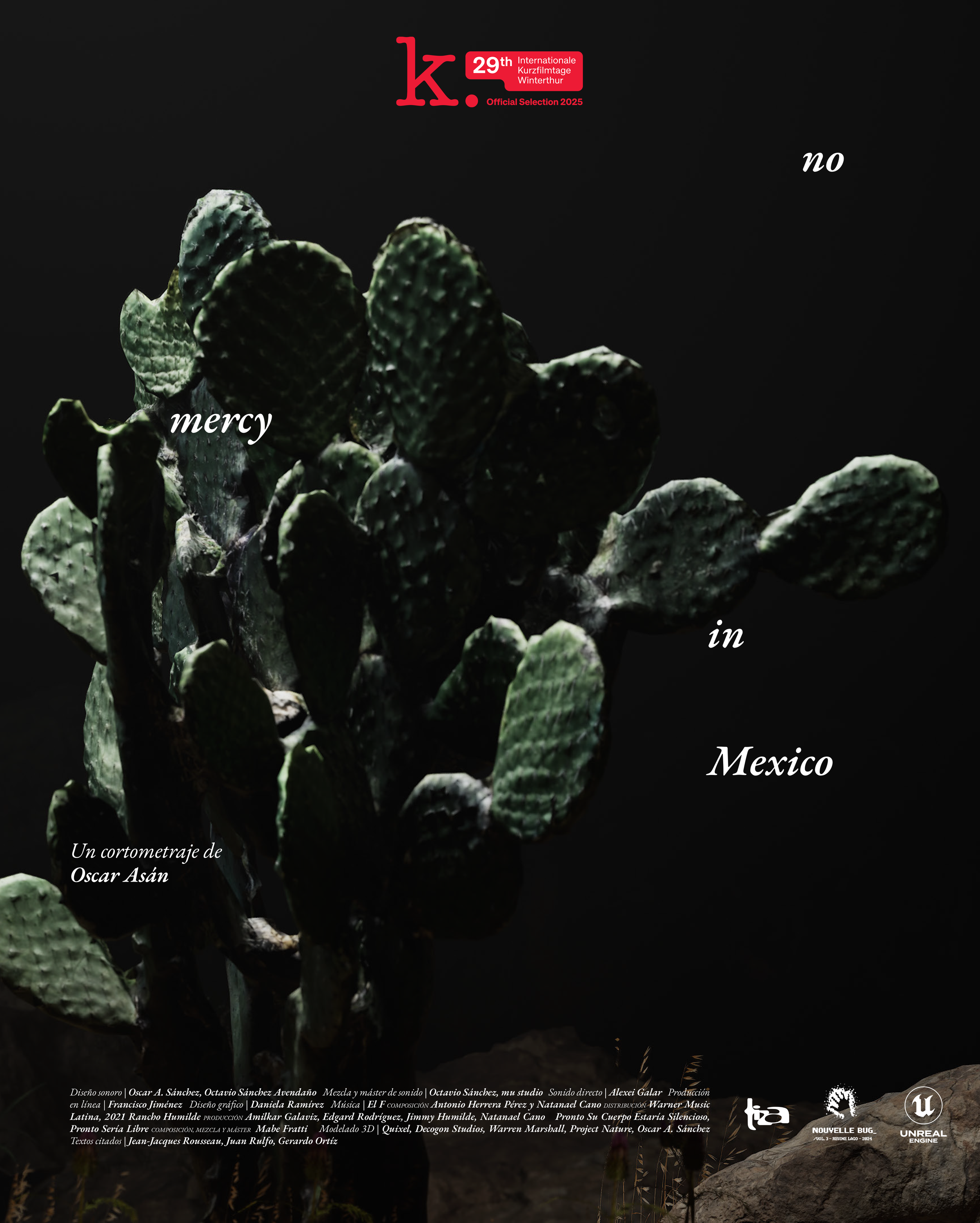 Close-up of a cactus with dark background, overlaid with text 'No mercy in Mexico' and festival details at the top and bottom.
