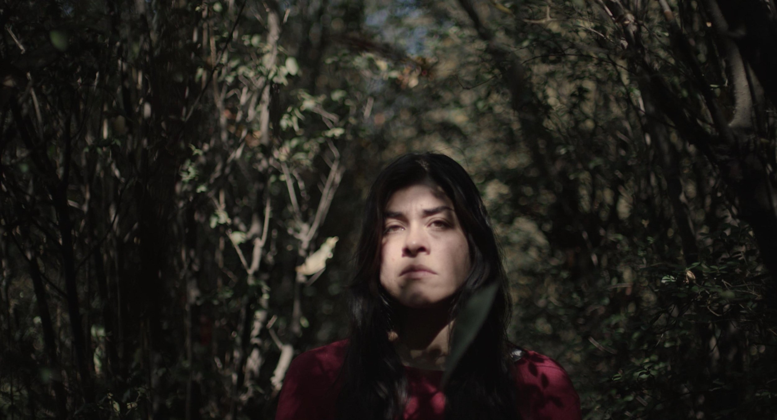 A young woman with dark hair and a serious expression stands amidst dense foliage in a forest, with sunlight filtering through the leaves.