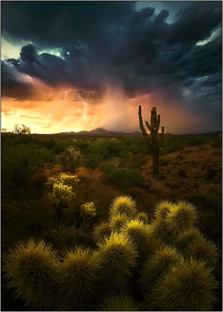Desert storm with lightning over cactus landscape
