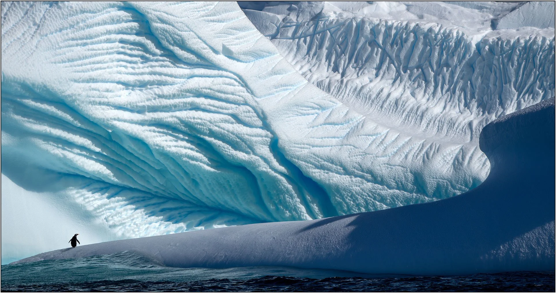 A penguin on a huge iceberg with detailed textures of ice blue and teal color tones.