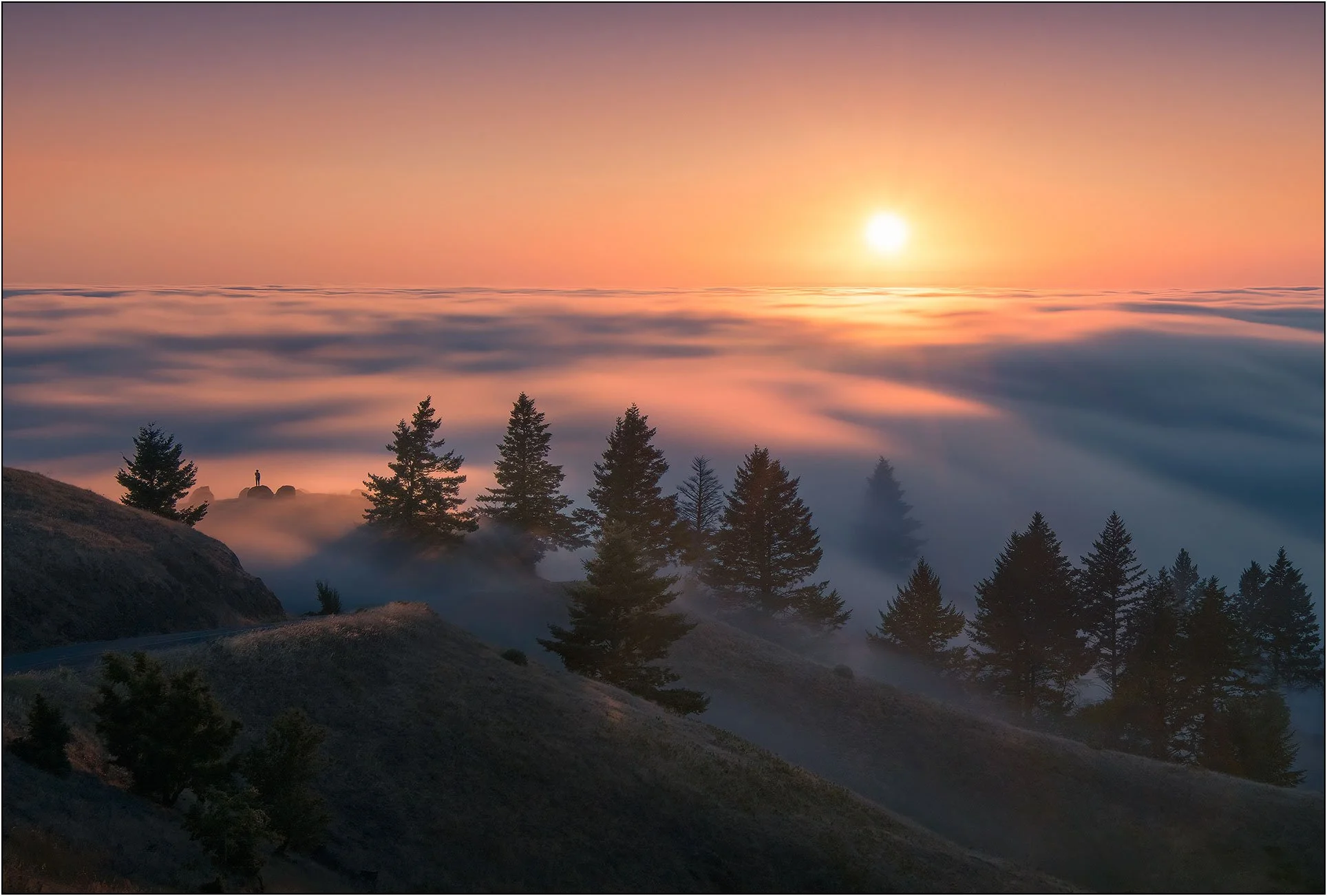 Rolling fog over mountain ridges at sunset with silhouetted trees