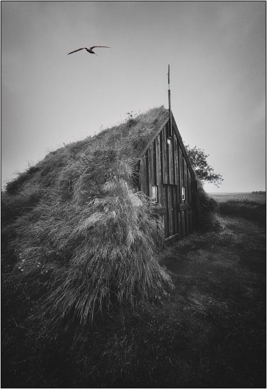 Black and white image of the oldest church in Iceland, with a bird flying over it.