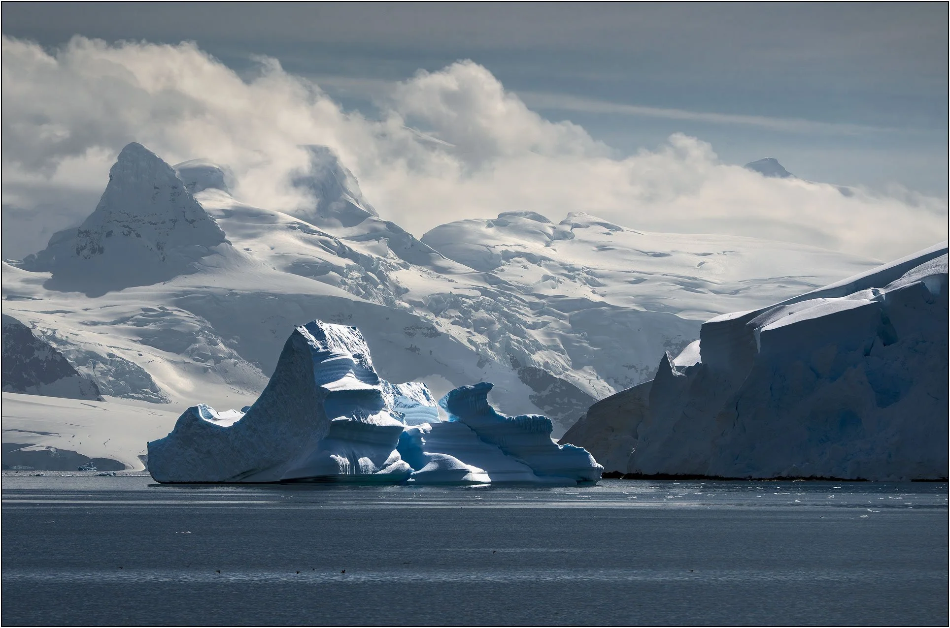 Icebergs and mountains of Antarctica peninsula with birds flying in the foreground.