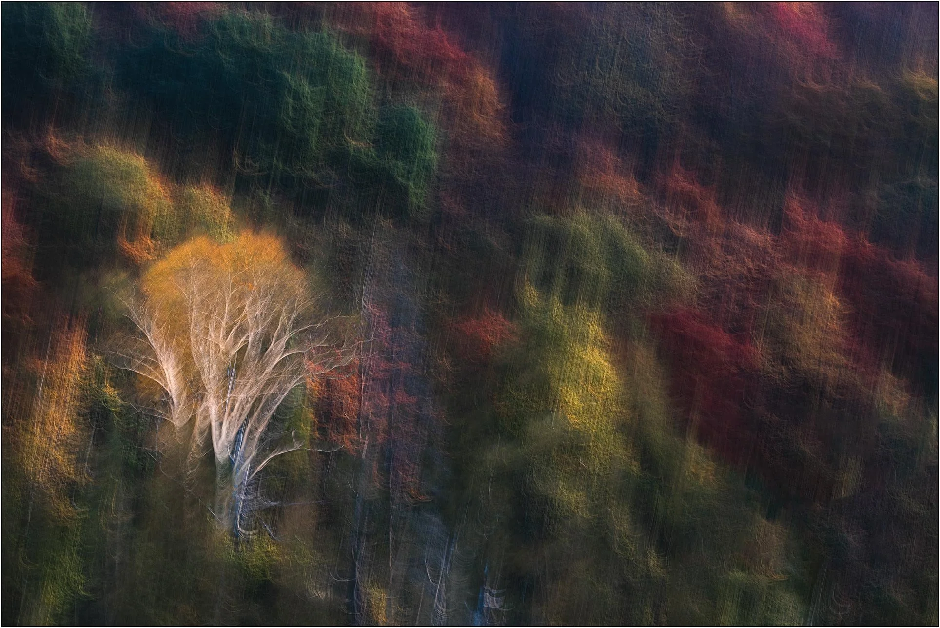 Golden, red, and green autumn leaves in a blurred forest, creating a soft, painterly impression.