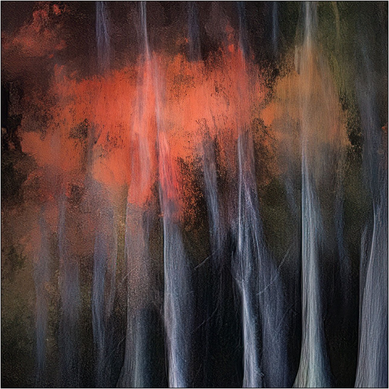 Abstract motion-blurred cypress trees in autumn colors, creating a painterly forest scene.