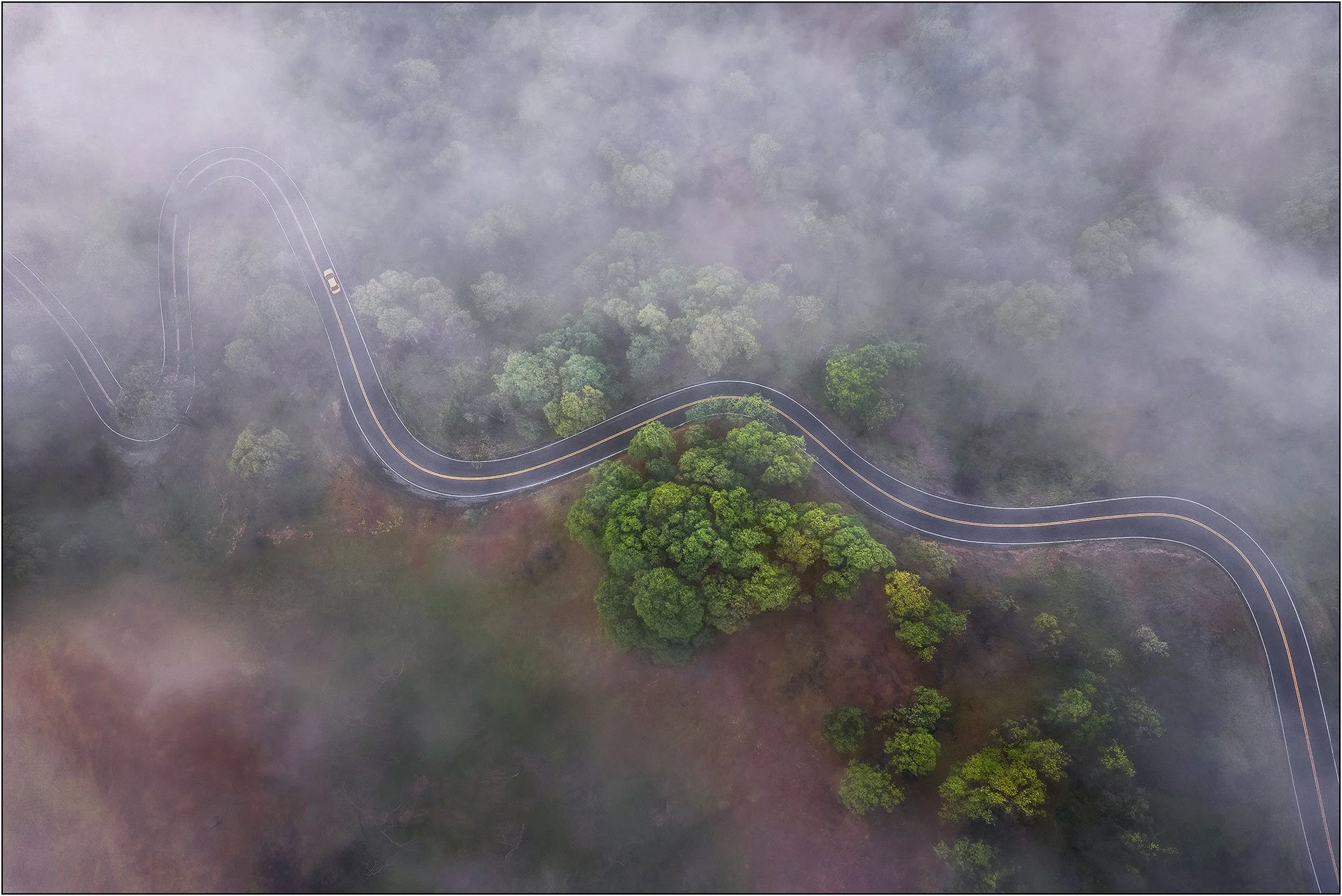 Winding road through forest partially covered by morning fog