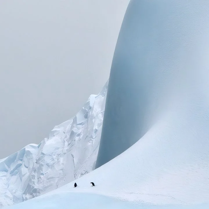 Antarctica