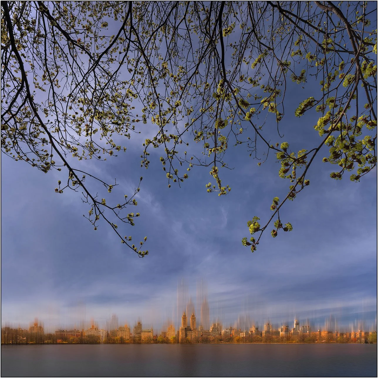 Tree branches framing a distant New York skyline reflected across calm water under a soft sky