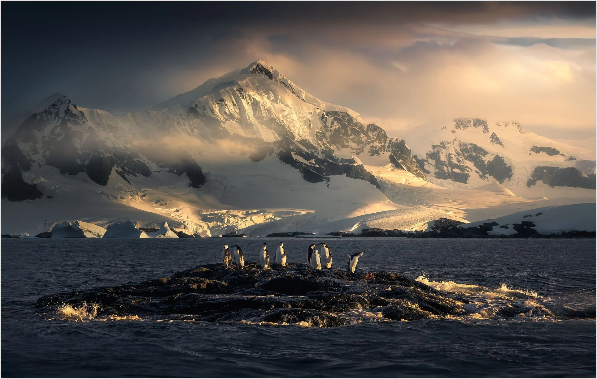 Penguins on a small island with snow mountains as background in Antarctica.