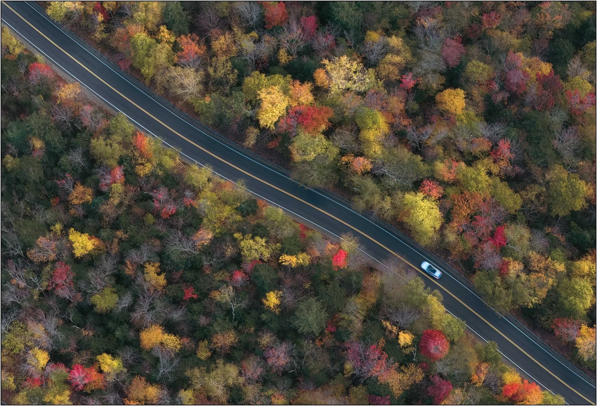A winding road cutting through a dense forest of colorful autumn foliage seen from above