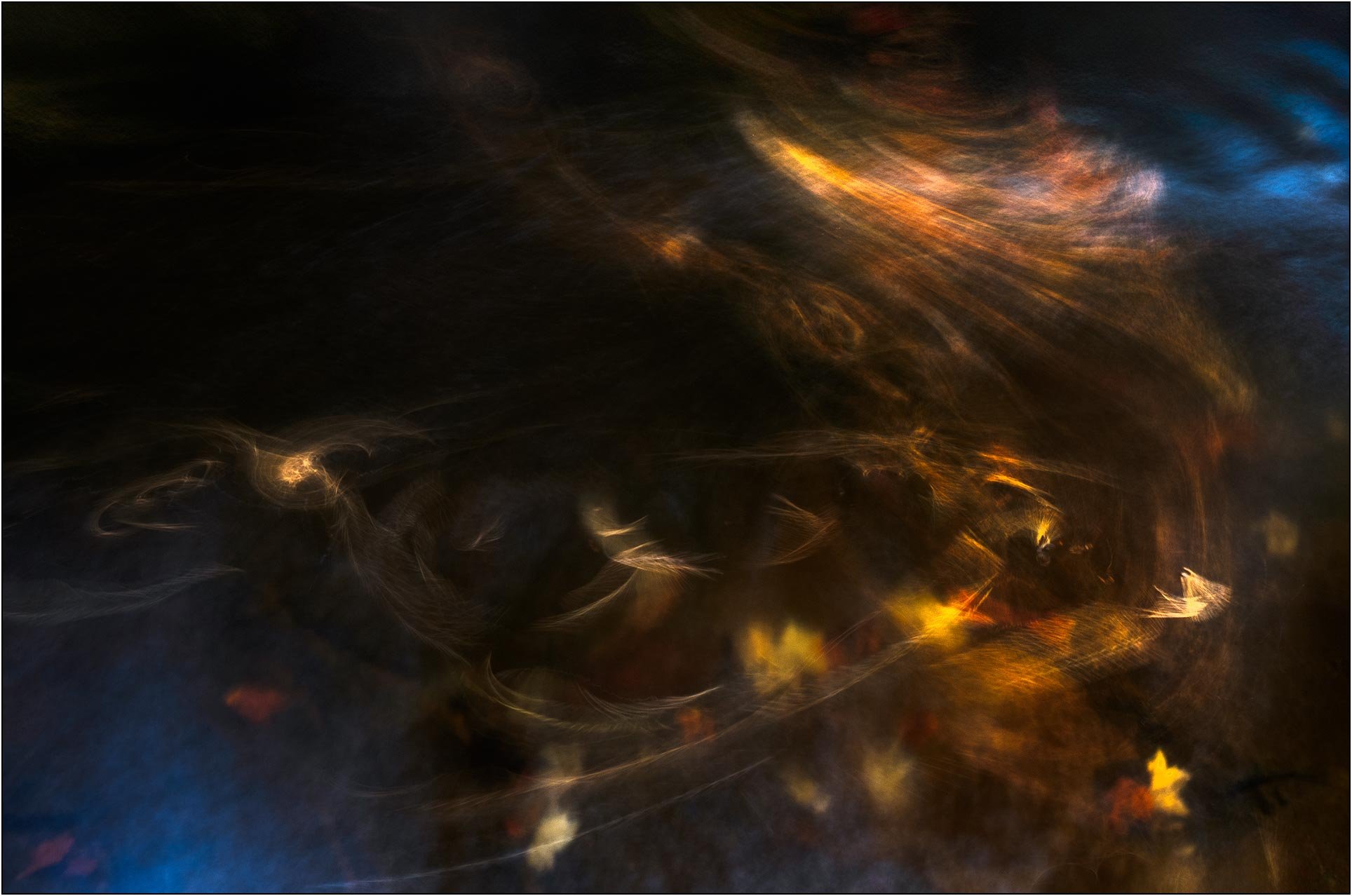 Long exposure golden autumn leaves in water, creating a soft, painterly impression.
