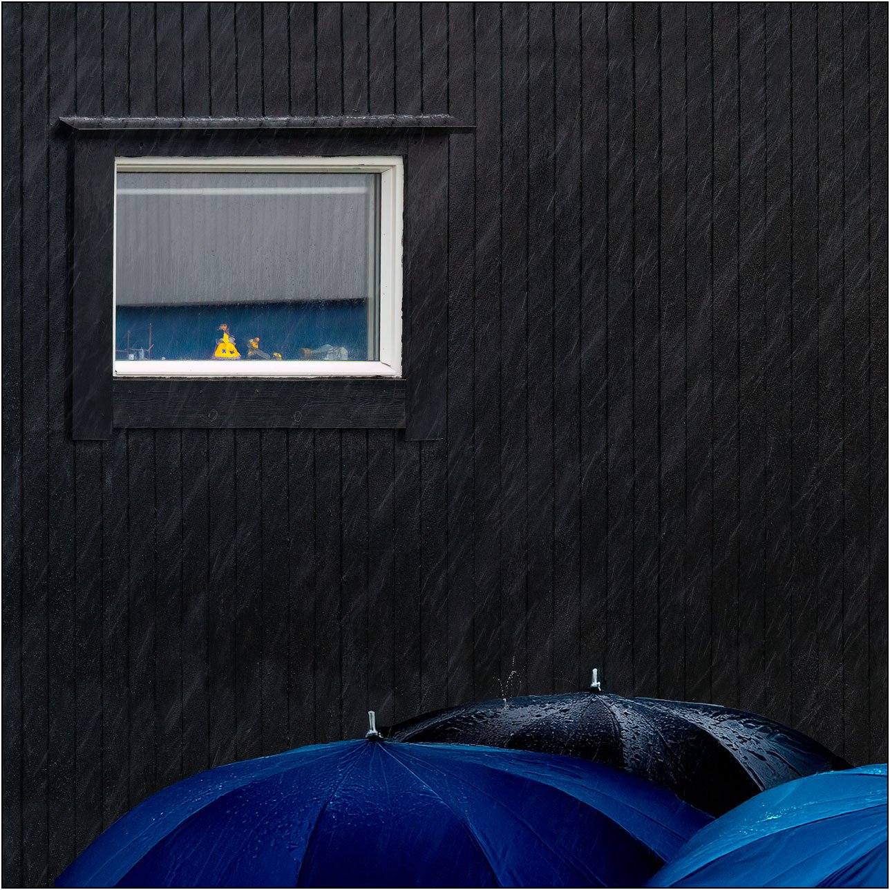 Rainy day in a village of Faroe Islands, with a small window and a blue umbrellas.