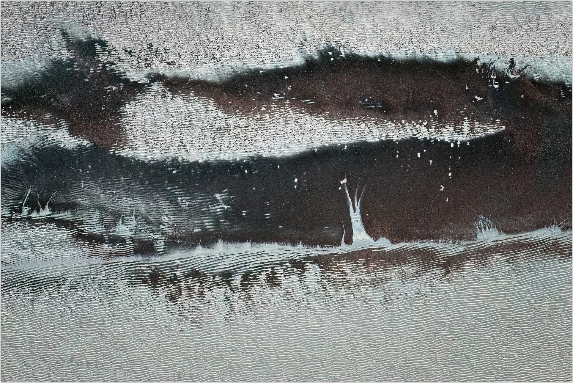 An aerial view of the Qiantang River tidal flats in China, where receding tides carve intricate patterns into the sediment. Dark channels and delicate textures create the illusion of trees and distant landscapes, transforming the natural rhythms of w