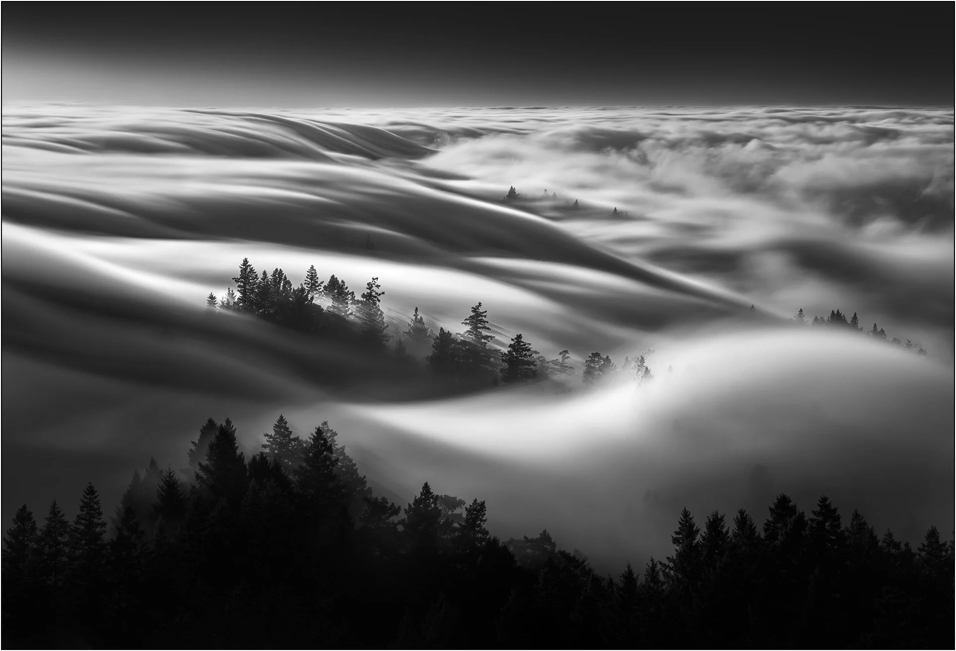 Flowing fog cascading over mountain ridges in black and white, Mt. Tam, California.