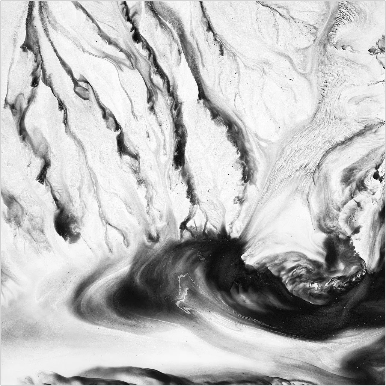 Aerial abstraction of a tailings lake with elongated branching forms creating rhythmic visual flow