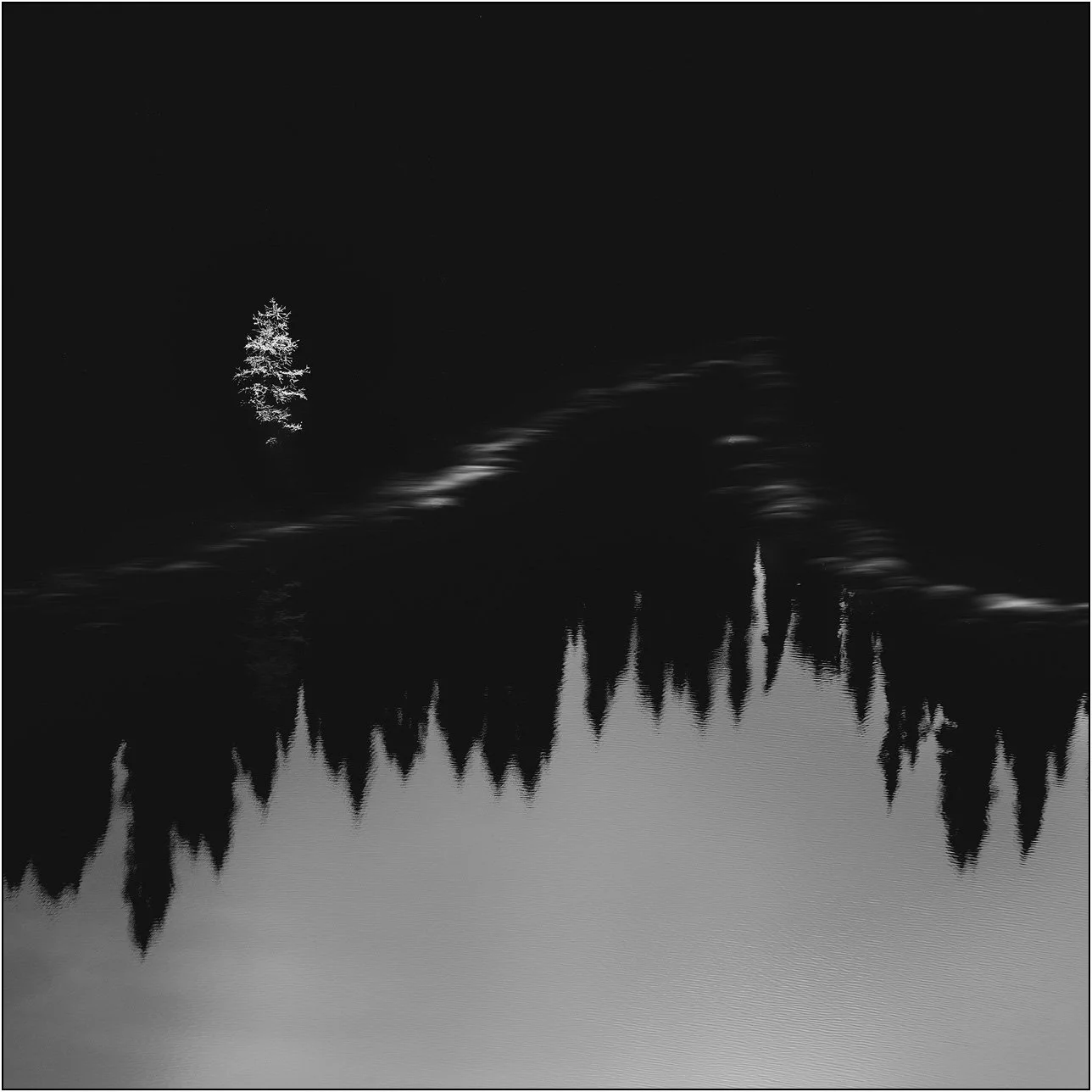 A lone tree and forest reflections on water, forming a quiet, atmospheric impression.
