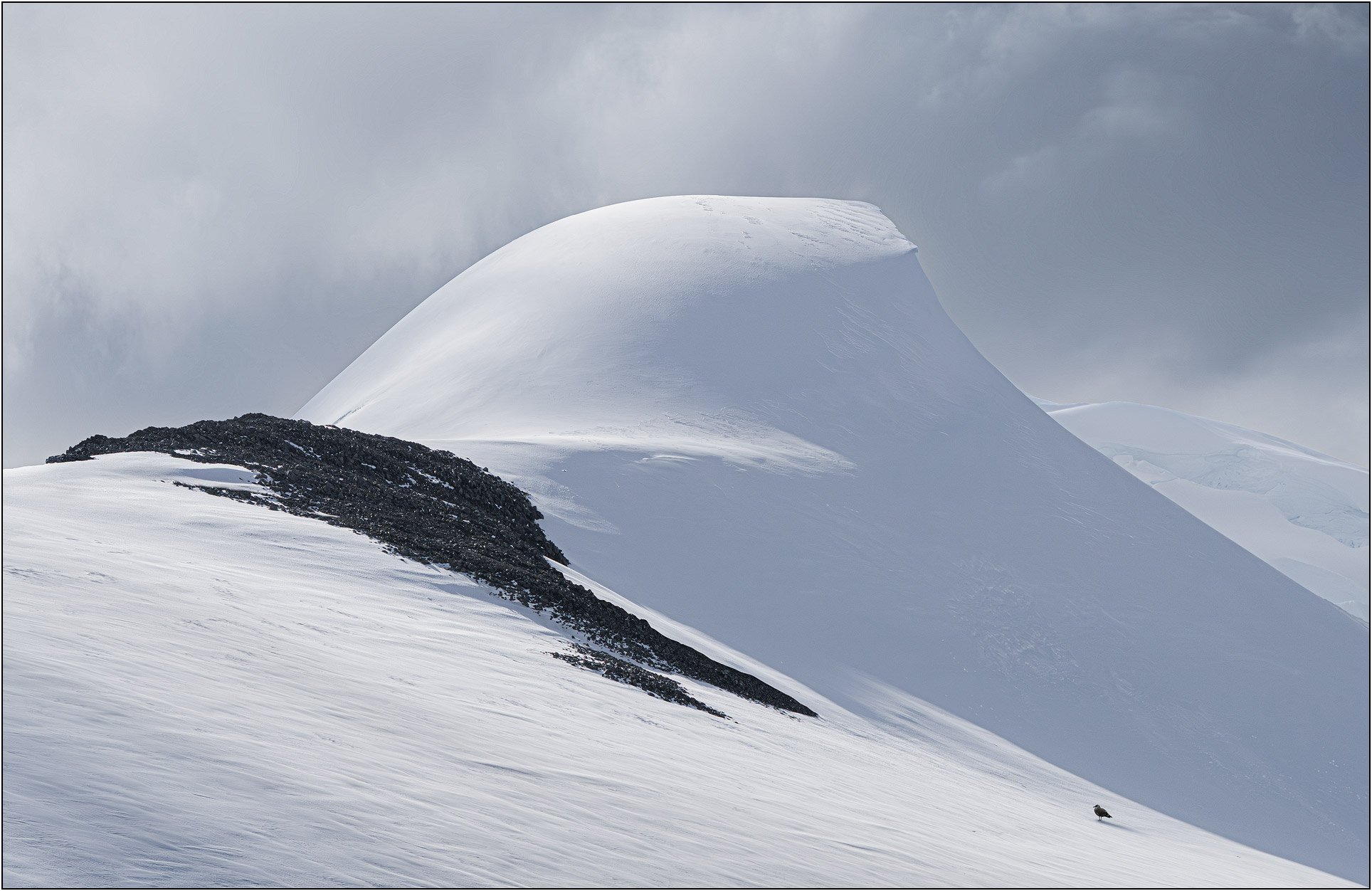 A bird lands on snowy dome shaped mountain  in Antarctica.