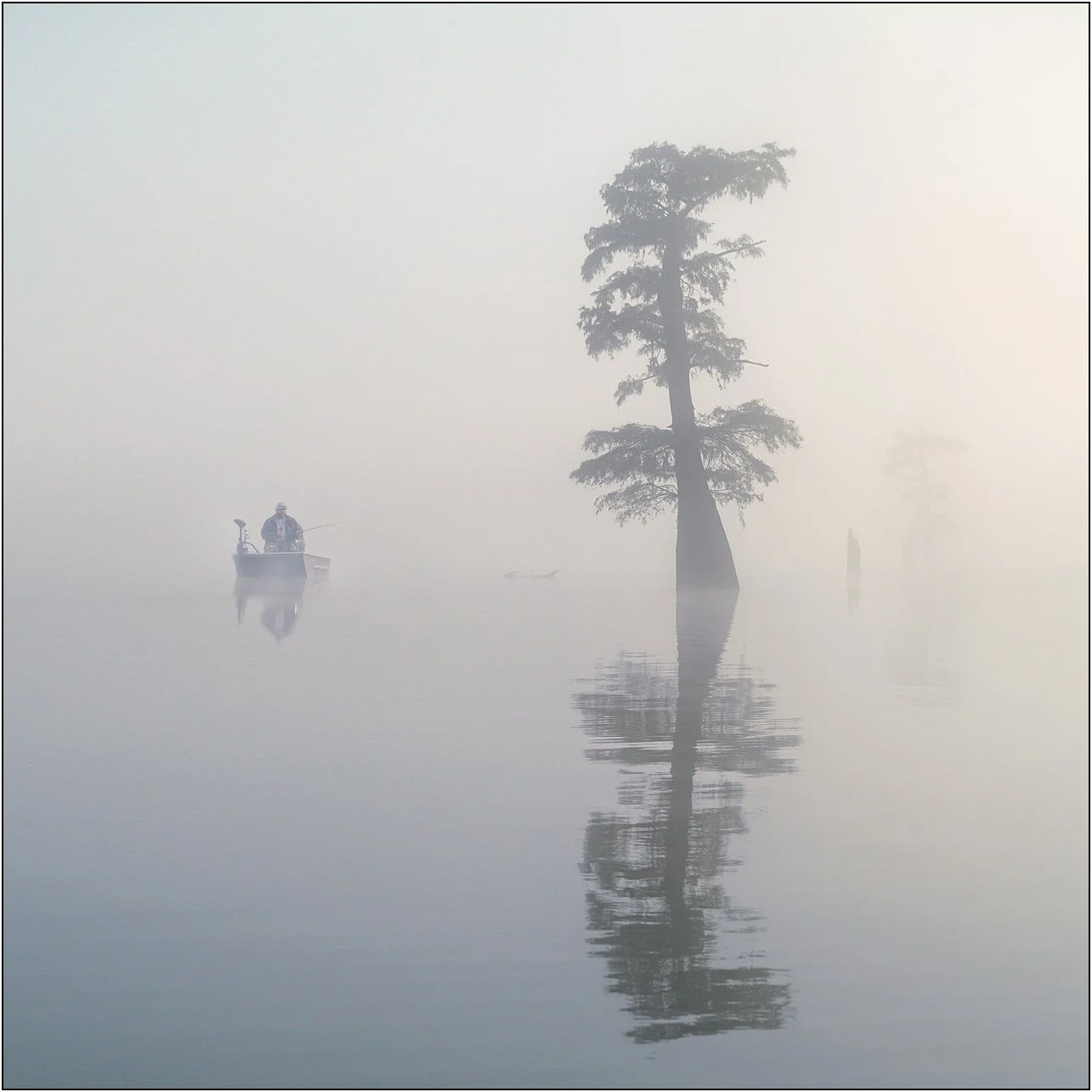 Cypress trees and fishing man in boat in misty wetlands with soft reflections on calm water.