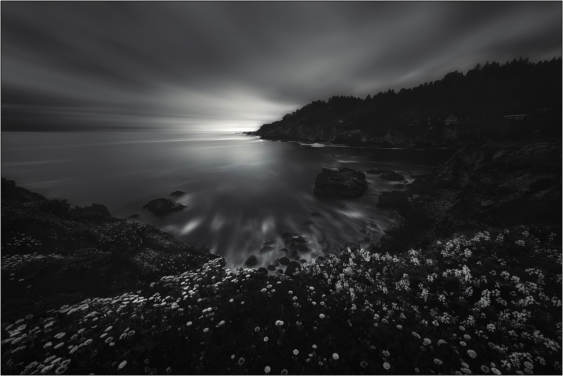 Dark coastal landscape with long exposure water and wildflowers overlooking a quiet bay