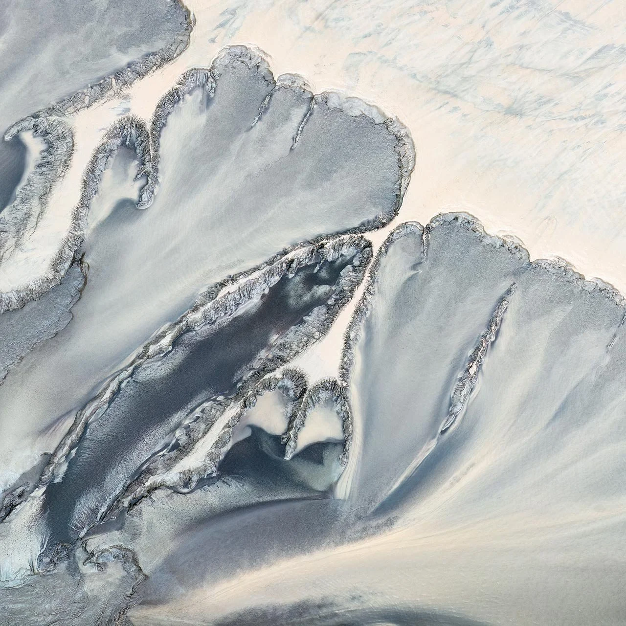 Tidal Paintings