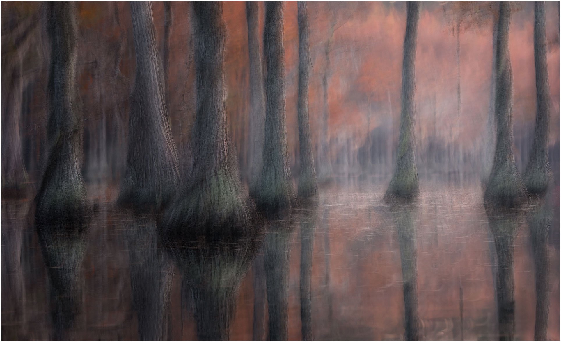 Abstract motion-blurred cypress trees in autumn colors, creating a painterly forest scene.