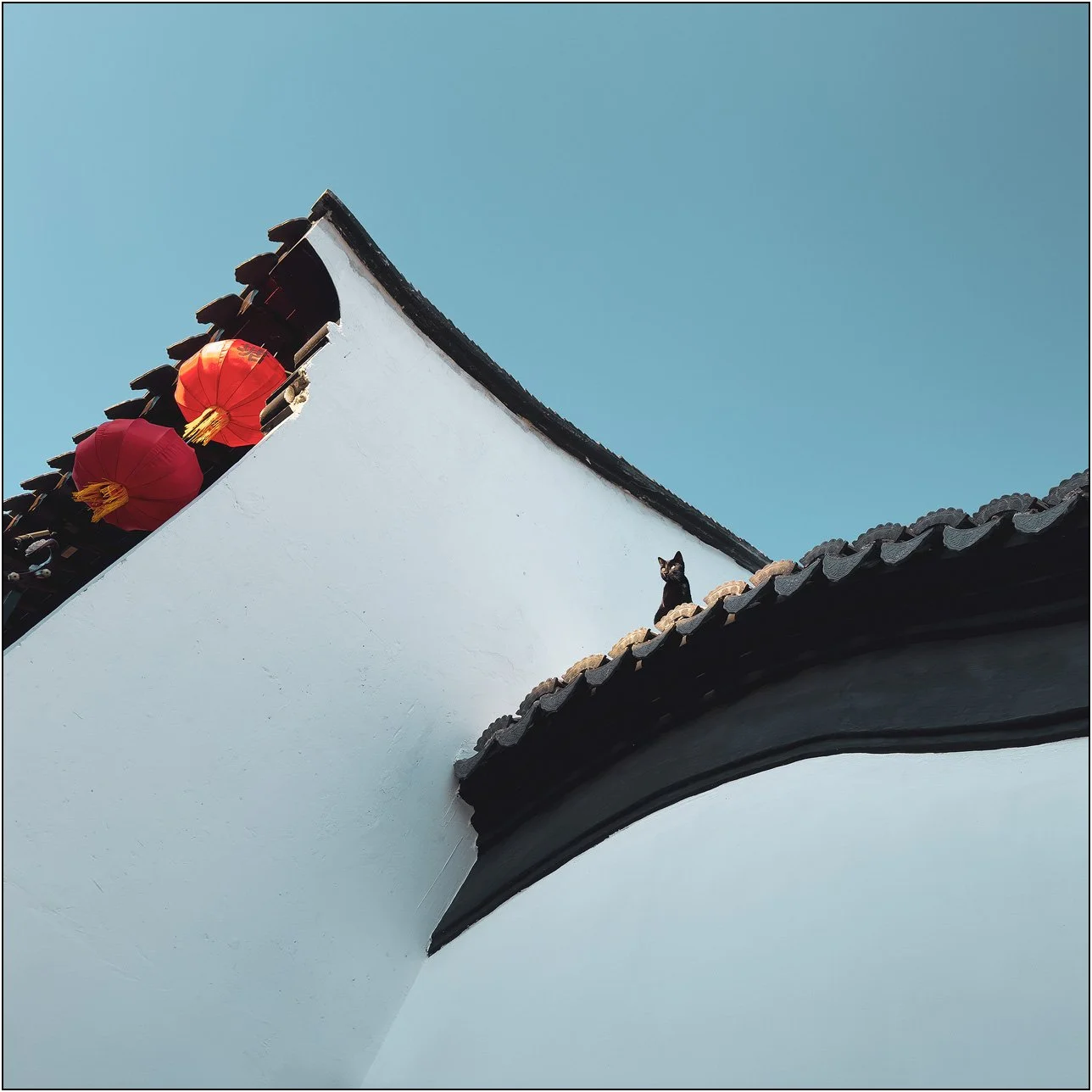 Traditional Chinese architecture with red lanterns and a cat on the roof under blue sky.