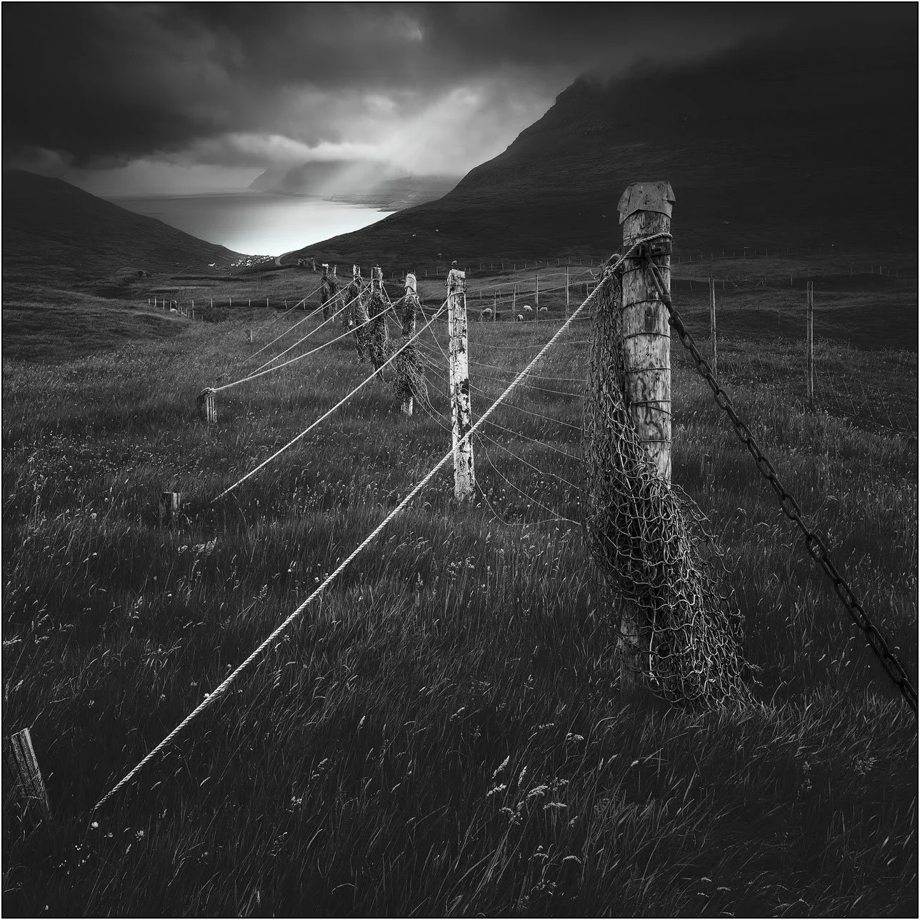 Black and white image of some fishing nets hanging on poles in Faroe Islands.