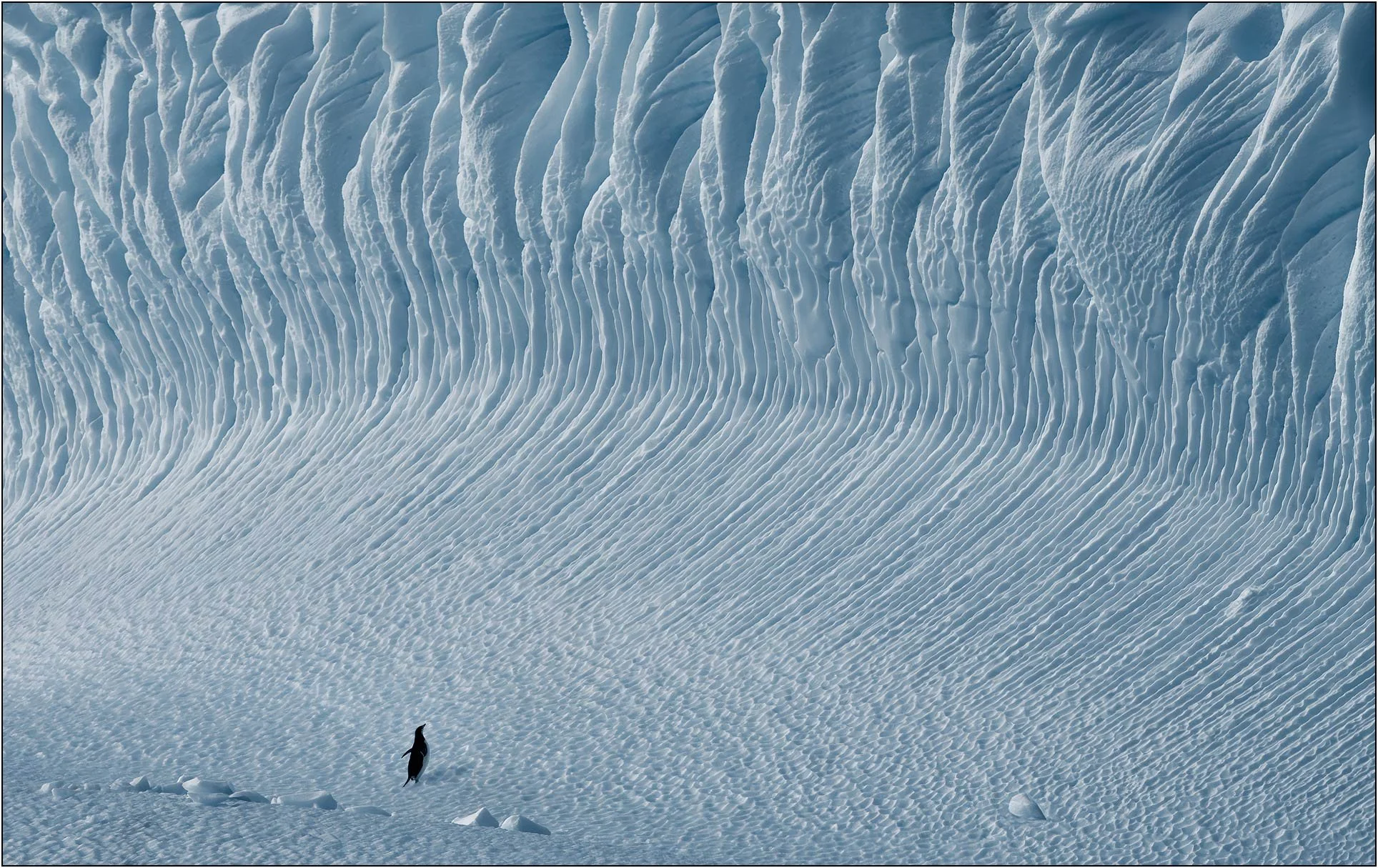 A penguin on huge iceberg with detailed ice patterns and textures in Antarctica.