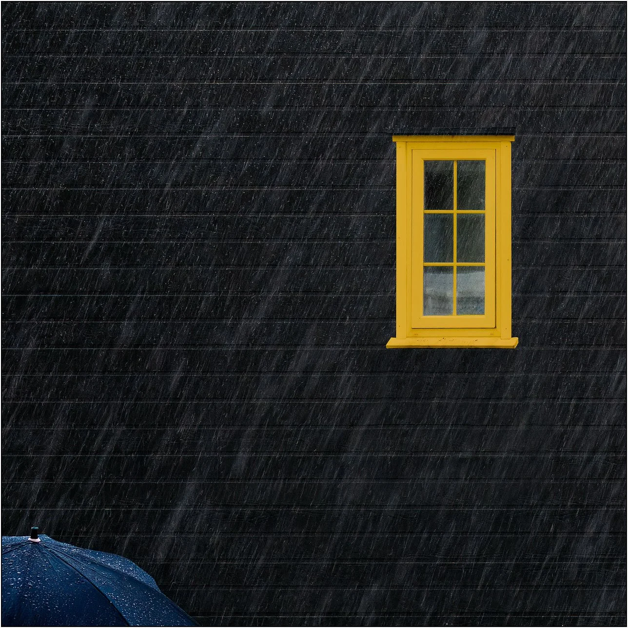Rainy day in a village of Faroe Islands, with small yellow window and a blue umbrella.