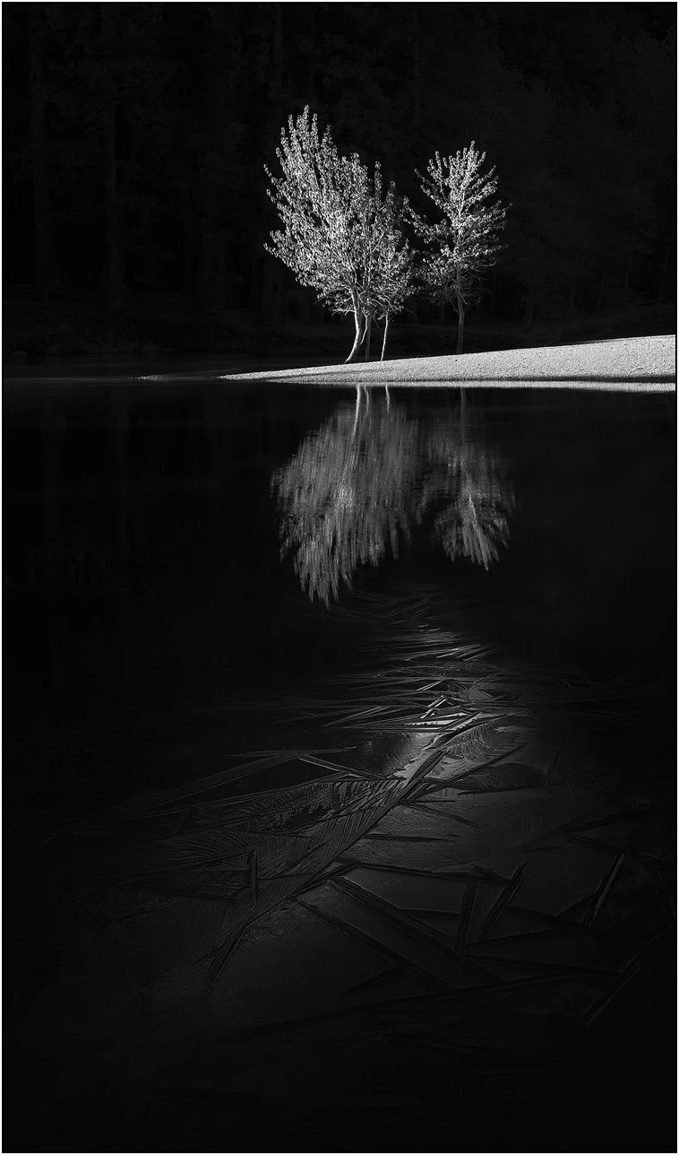Two trees reflected in still water with ice textures in foreground in Yosemite valley.
