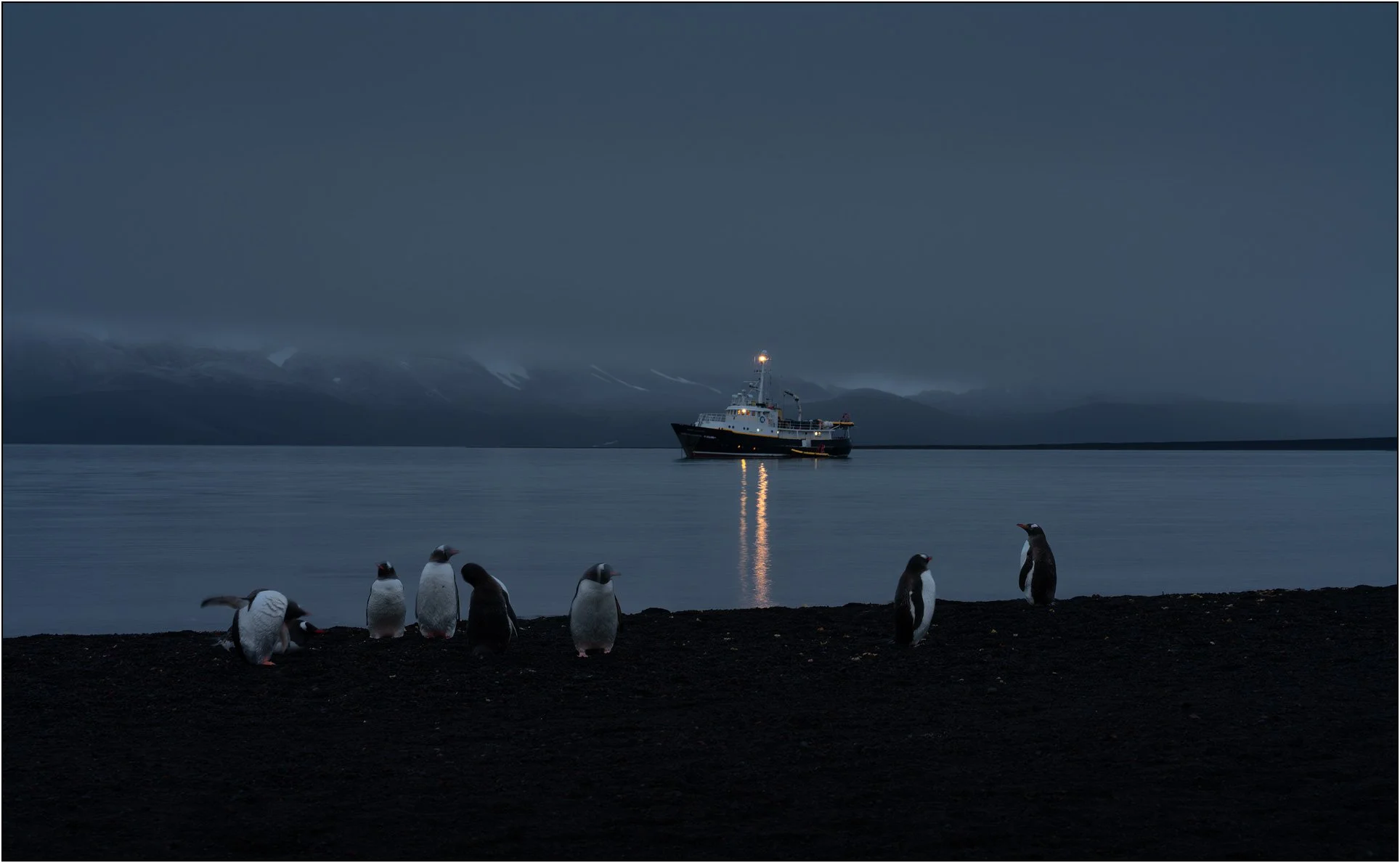Boat resting in a quiet harbor at night with penguins on shore in Antarctica.