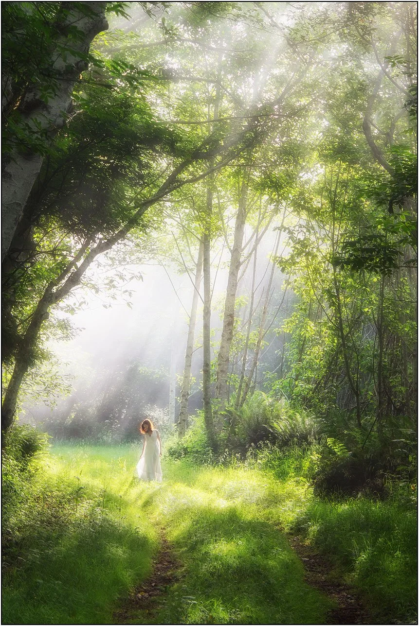A solitary figure in a misty forest illuminated by soft light