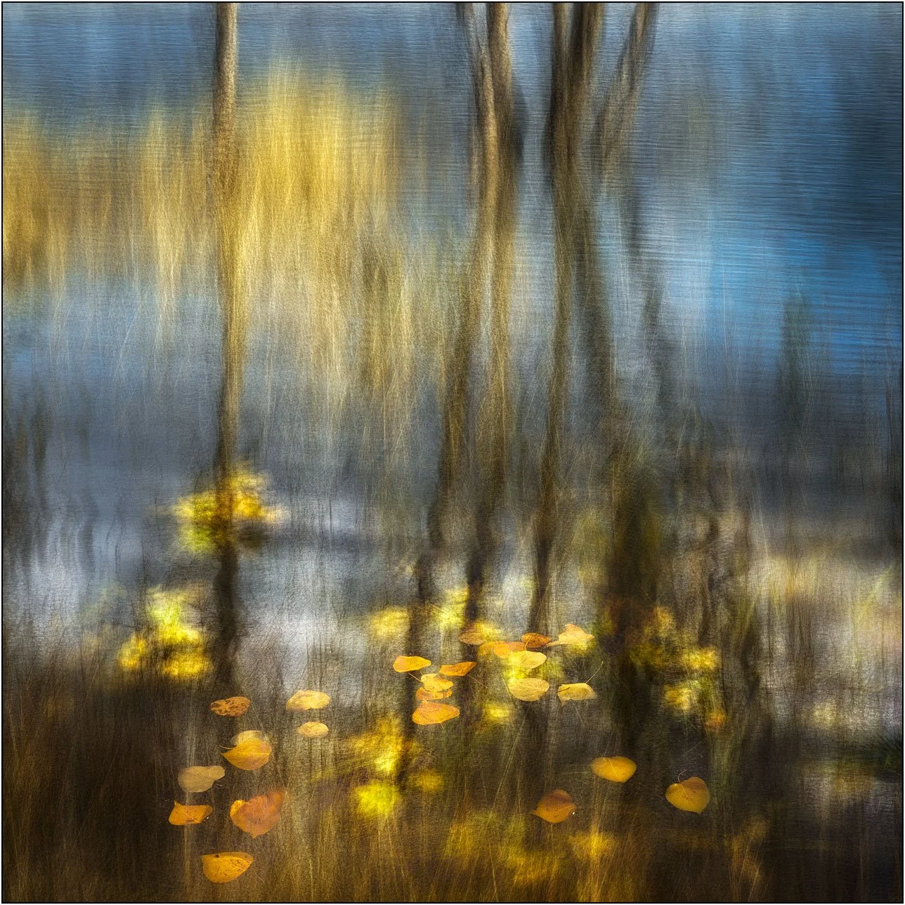 Golden autumn leaves in a blurred forest and lake scene, creating a soft, painterly impression.