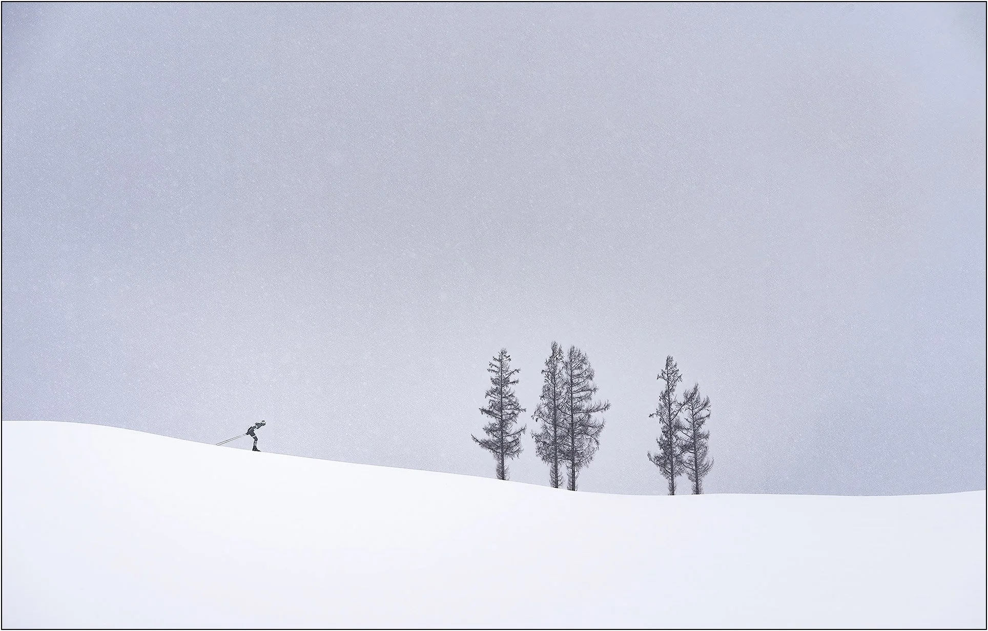 A lone skier moving across a snowy slope near a line of bare trees in a minimalist scene in Hokkaido, Japan.