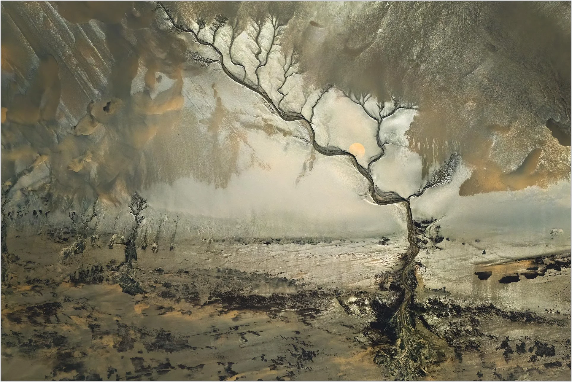 Aerial abstraction resembling a solitary tree in a textured landscape with soft atmospheric tones