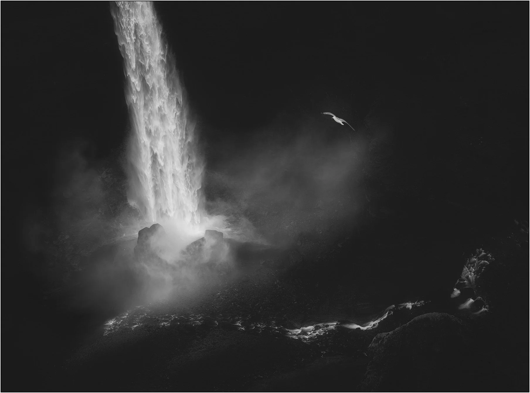 Black and white moody image of a waterfall in Iceland with a bird flies into the mist.
