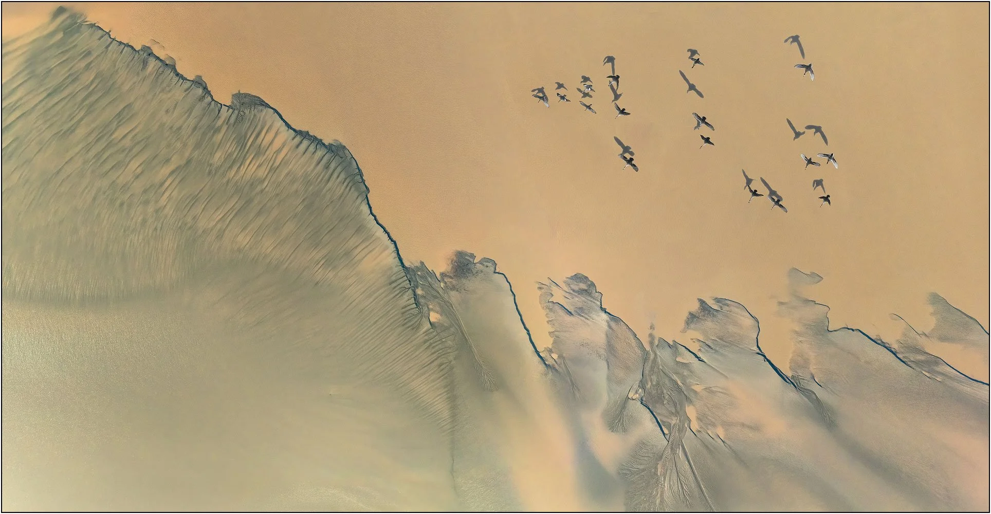 Minimalist aerial scene with soft tonal gradients and a flock of birds in motion