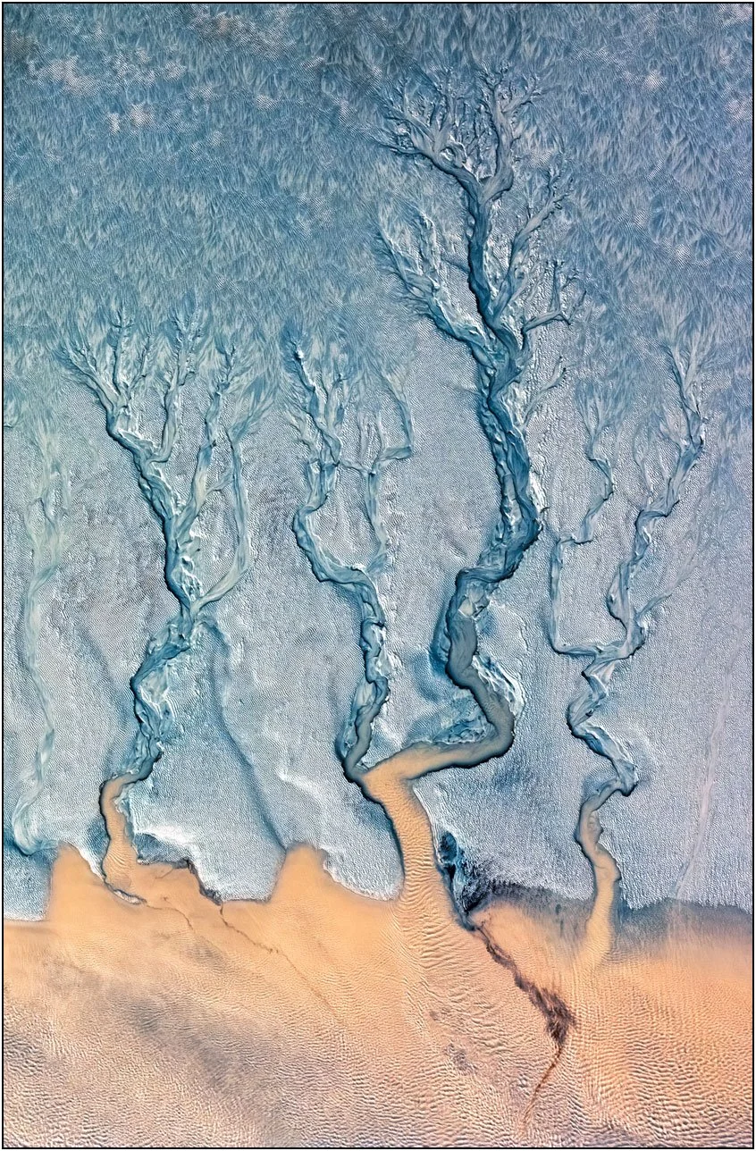 Aerial abstraction of branching tidal channels resembling delicate organic forms