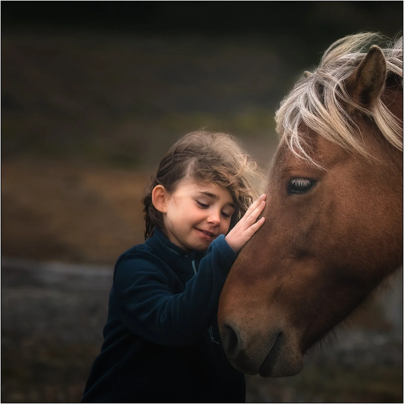 A girl gently pat the head of an Icelandic horse.