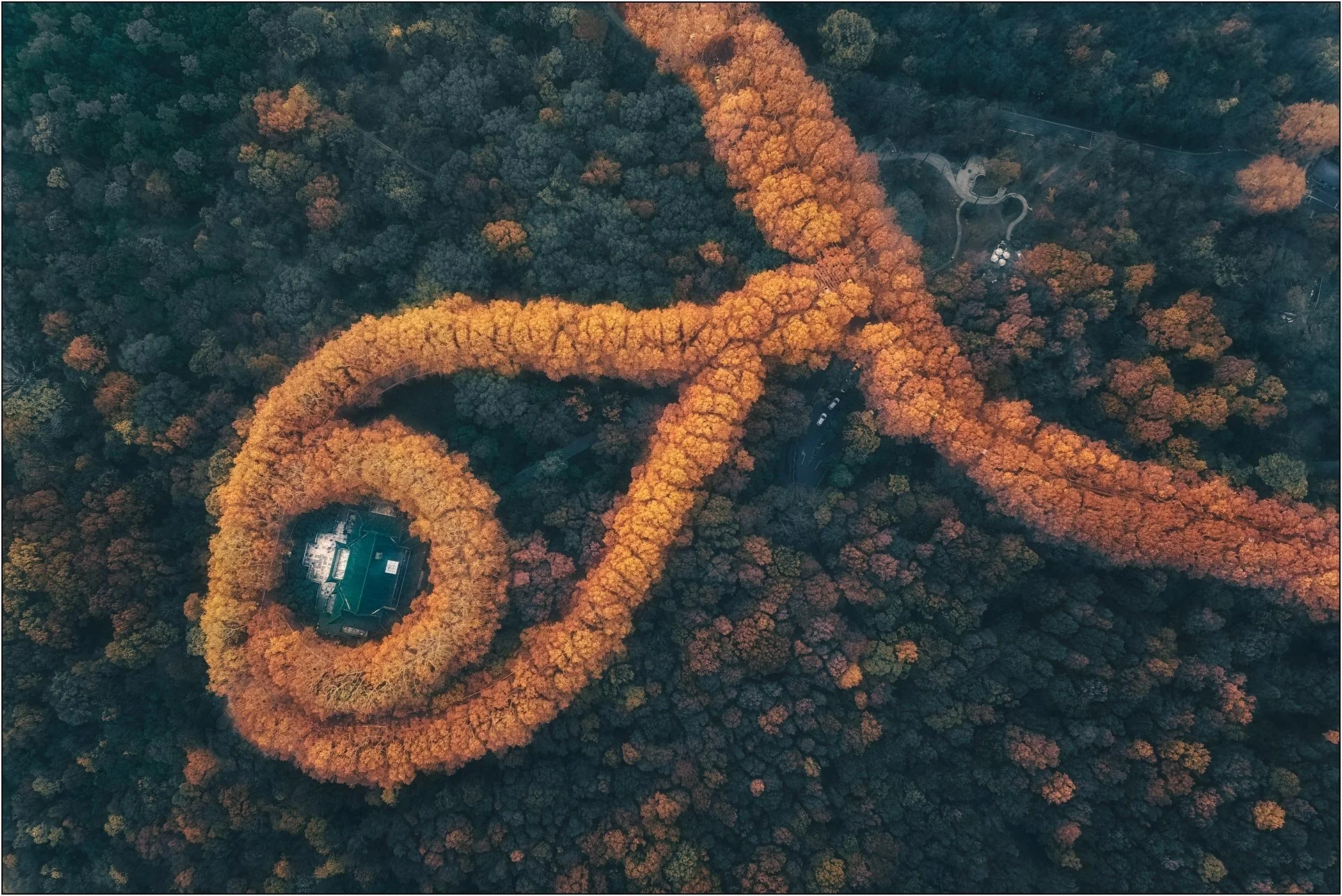 Meiling Palace in fall colors, showing necklace shaped fall foliage. Nanjing, China.