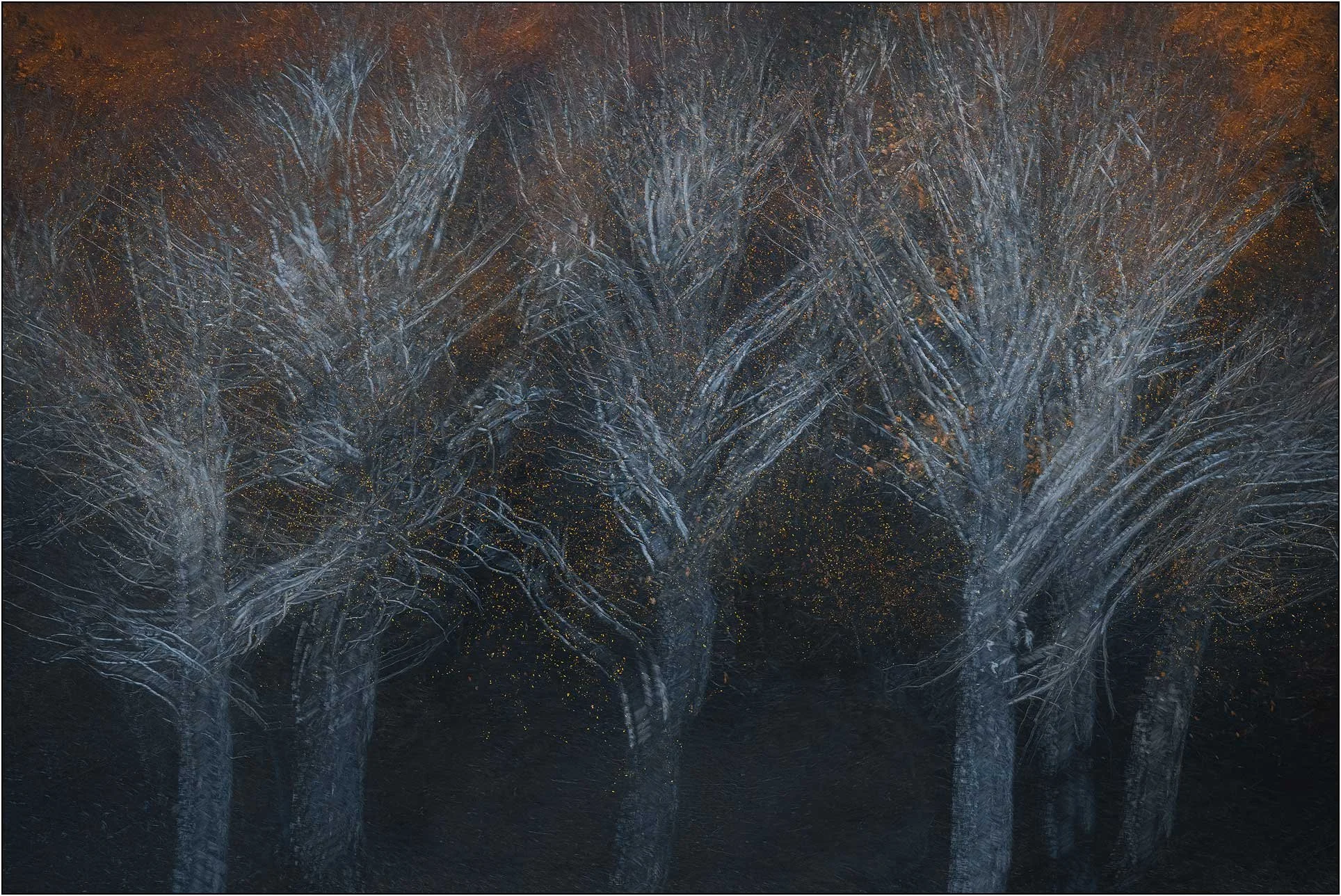 Multiple exposure of fall forest, creating painterly effect.