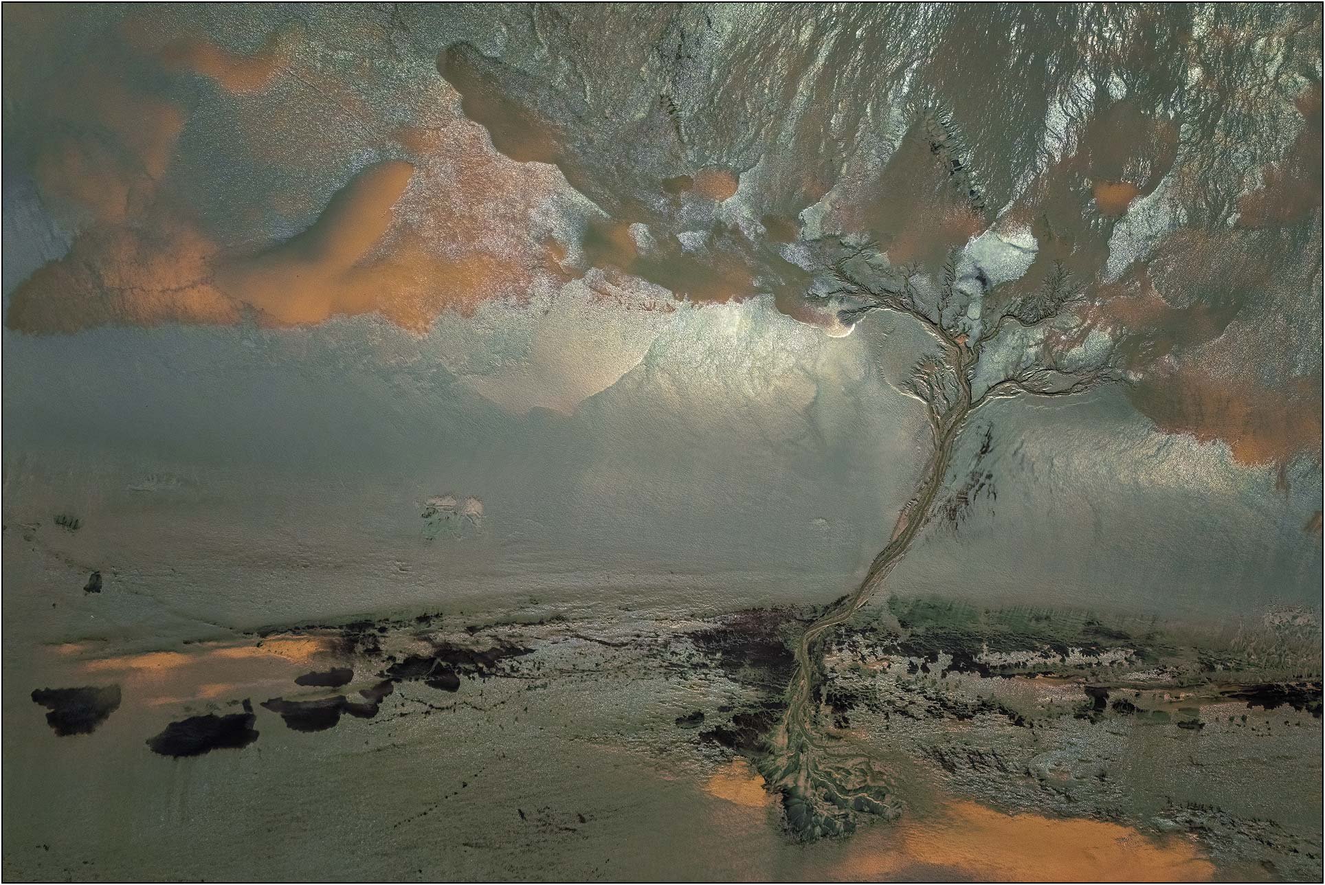 Abstract aerial composition with a tree-like form emerging from a reflective, painterly surface