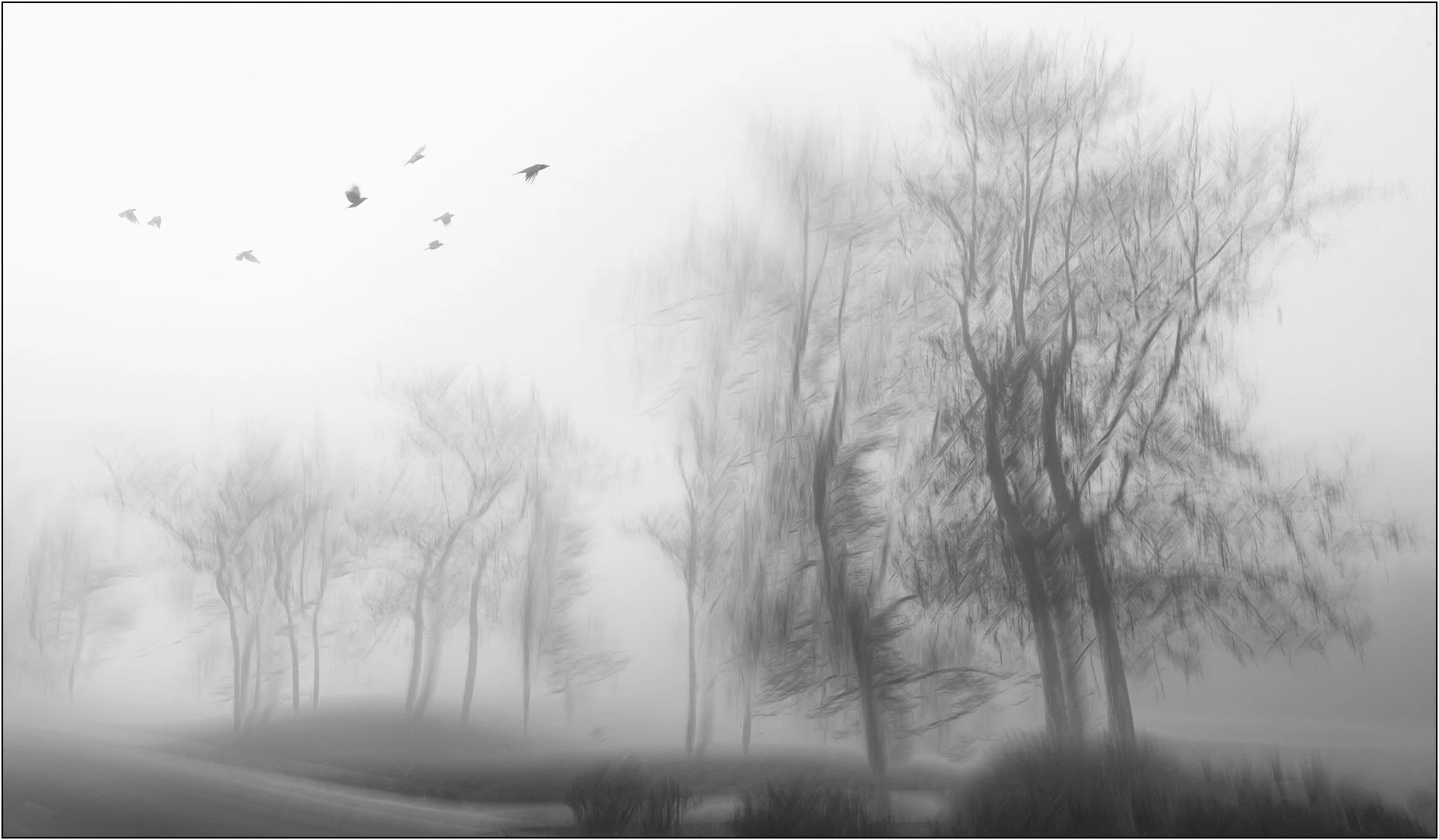 Blurred trees bending in the wind with birds flying through a foggy, minimal landscape