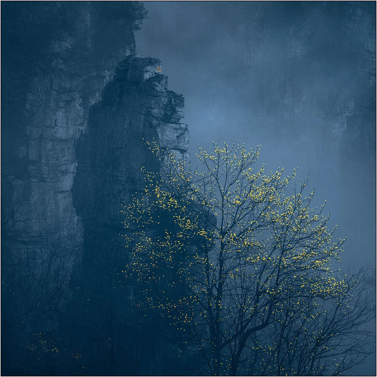 Mountain and spring flowers in misty Zhangjiajie, China.