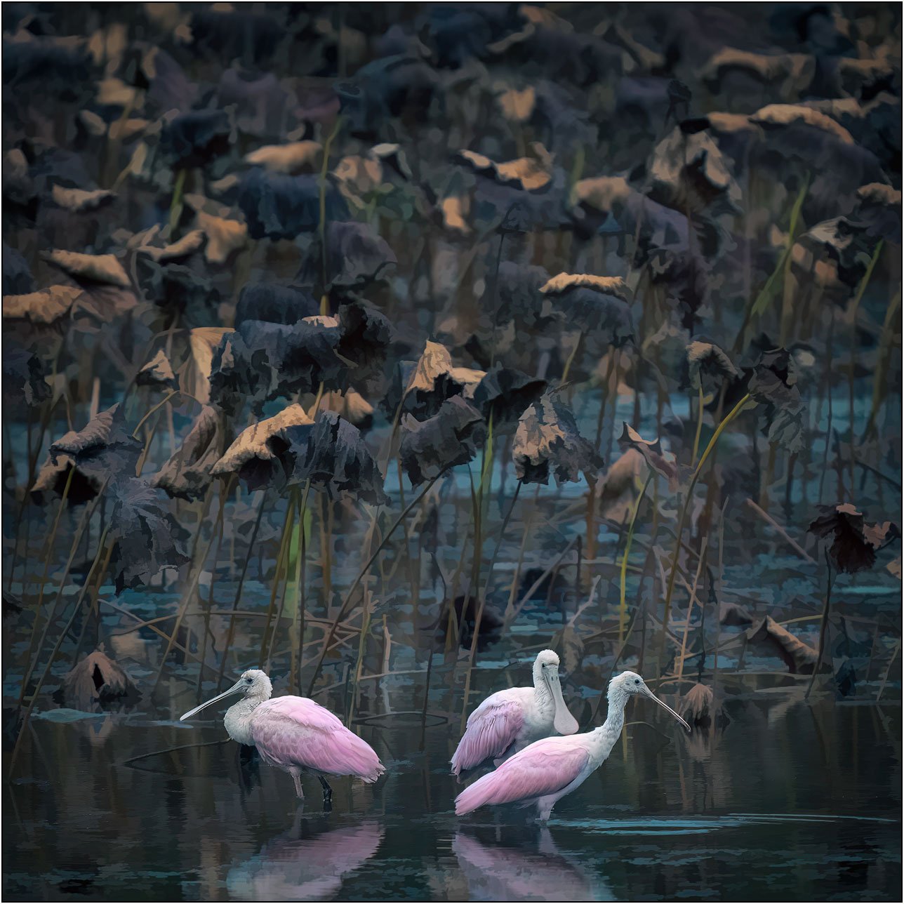 Painterly effect photograph of roseate spoonbill in lotus pond in southern wetlands.