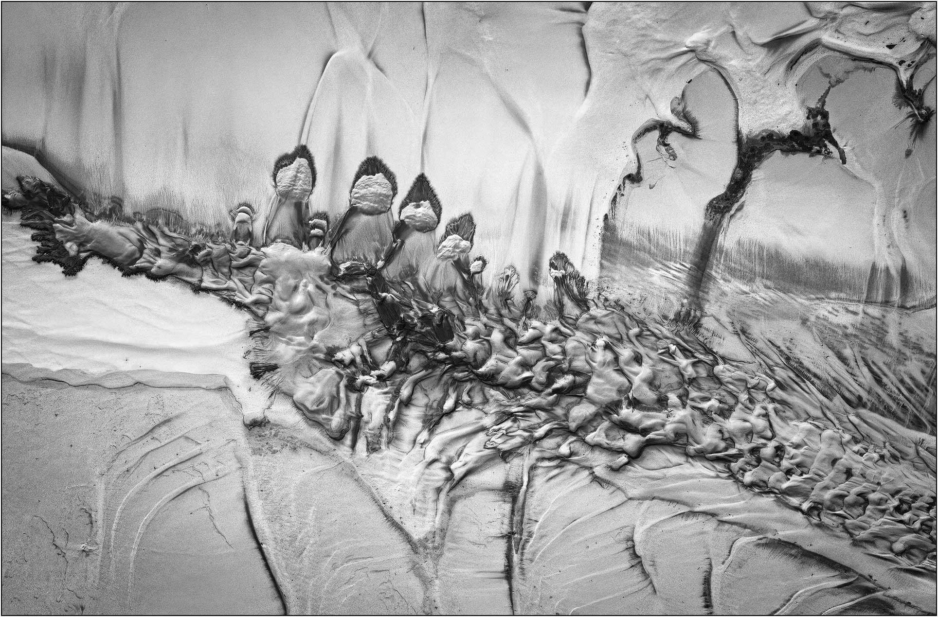 Abstract aerial composition with dynamic textures suggesting a gathering of organic forms