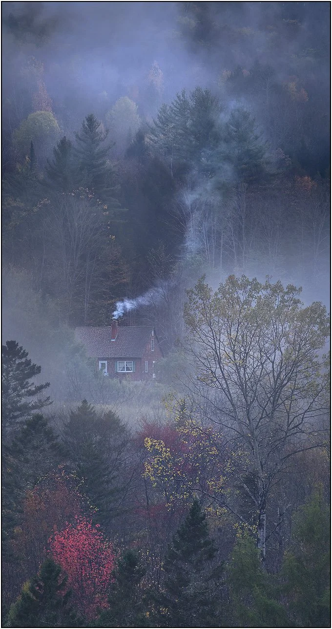 A small house surrounded by misty forest layers with soft autumn colors